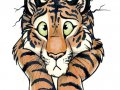 1264747589.tanidareal_stuck-tiger.jpg